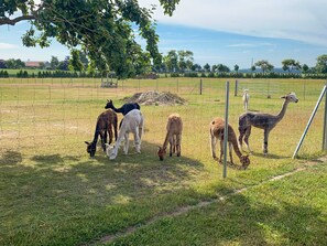 Unclassified image, 4 of 27, button