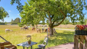 A patio area with a table and chairs, a tree, and a view of grazing animals in a fenced field. - Tiny house on the alpaca farm - Tiny House (Rubkow)