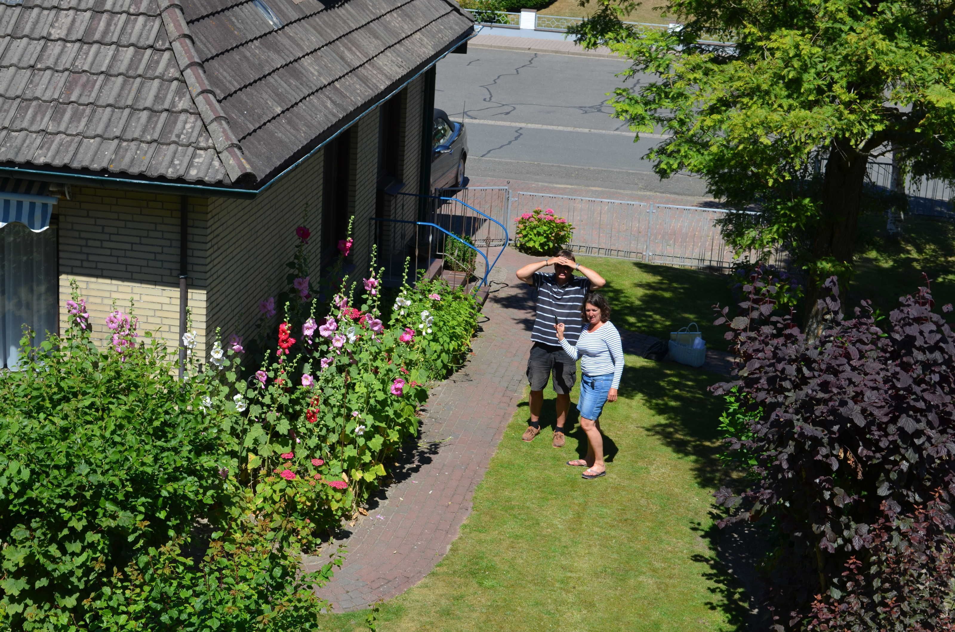 A residential area with a house, a garden with various flowers, and a pathway.