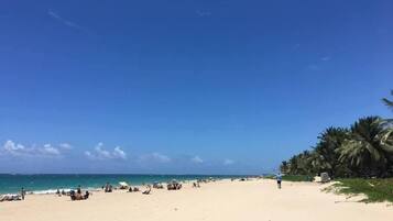 Una playa con gente, sombrillas y palmeras.