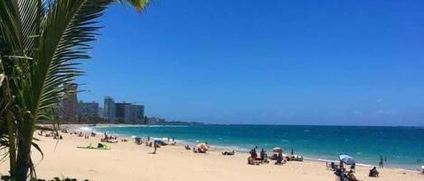 在海灘附近