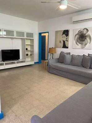 Fernseher, Arbeitsbereiche