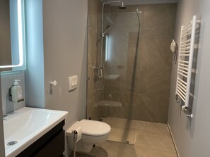 Shower, hair dryer, towels, toilet paper