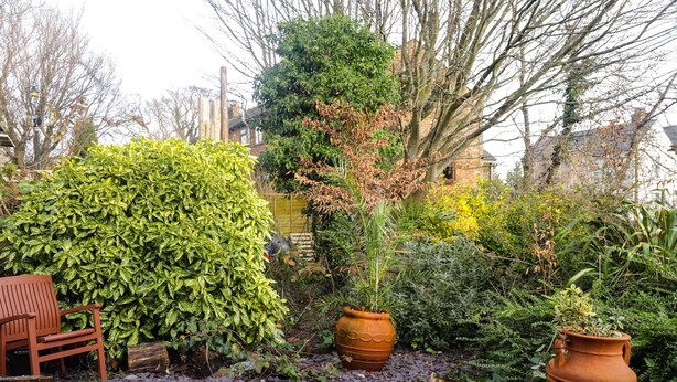 A garden with a bench, potted plants, and a stone pathway. - Old Post Office (Ashford)