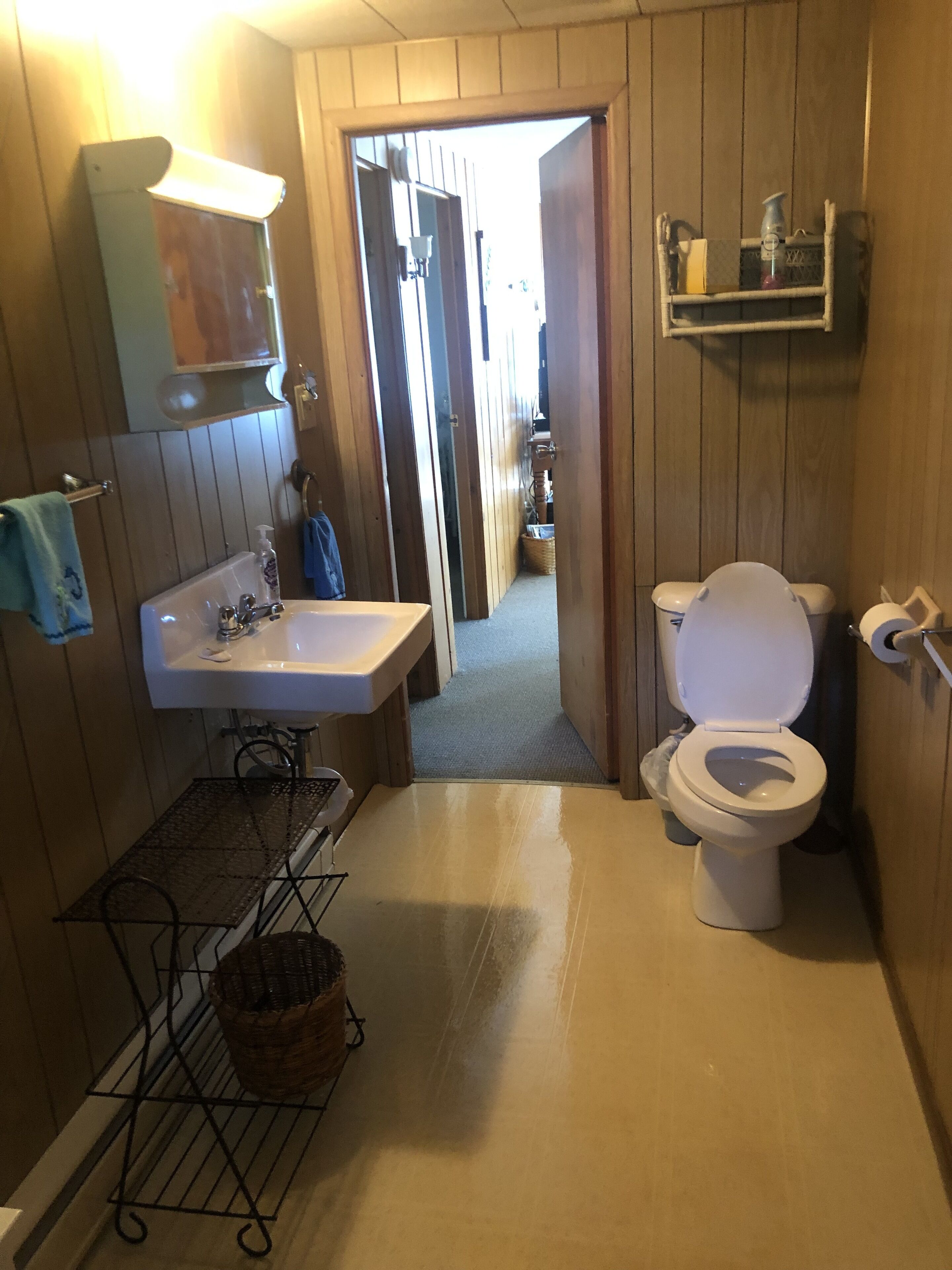 Bathtub, hair dryer, soap, toilet paper