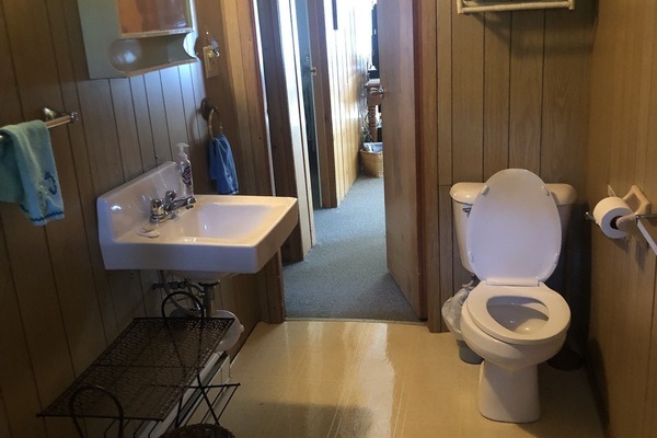 Bathtub, hair dryer, soap, toilet paper