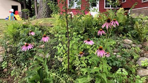 Ein rotes Haus mit Garten, der rosa Blüten und grünes Grünwerk zeigt.