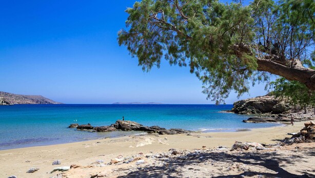 Une plage avec une eau d’un bleu limpide, un rivage rocheux et un arbre aux feuilles vertes.