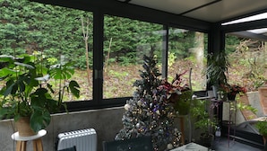 Un invernadero con un árbol de Navidad, ventanas amplias y diversas plantas en macetas.