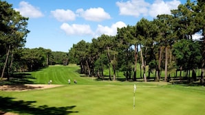 Un campo de golf con un césped bien cuidado, bunkers de arena y altos árboles.