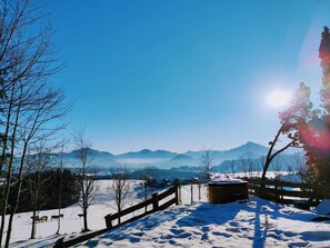 Property grounds - 2 Bedroom Chalet in Koppl (Koppl)
