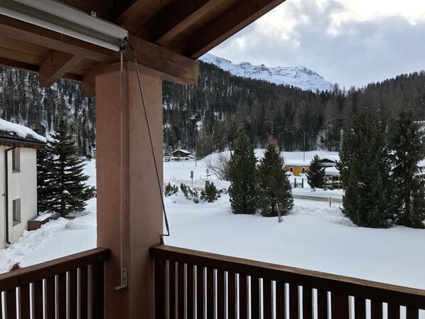 Property grounds - House (Celerina/Schlarigna)