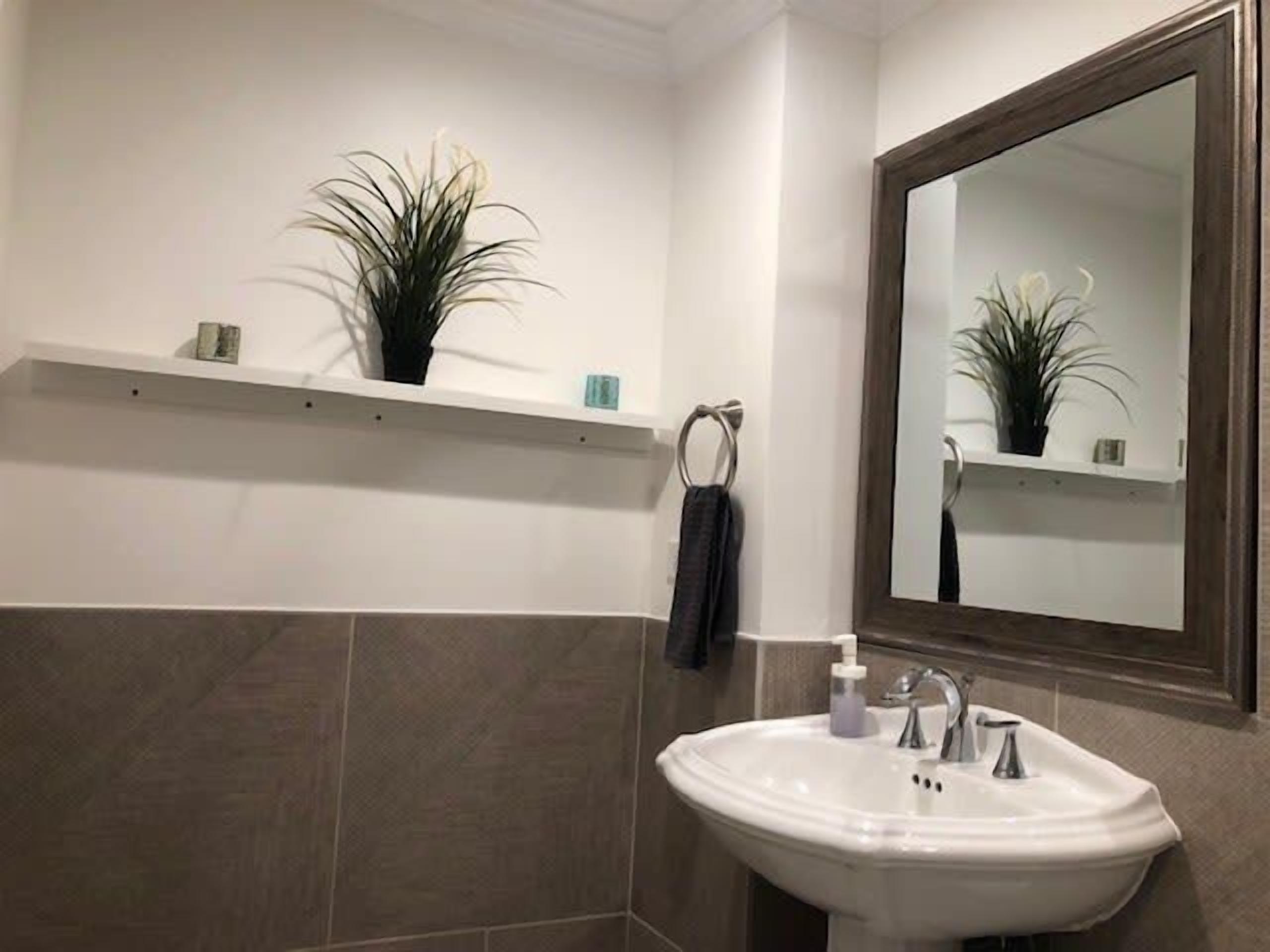 Een badkamer met een witte wastafel, een spiegel en een plankje met een plant en toiletartikelen.