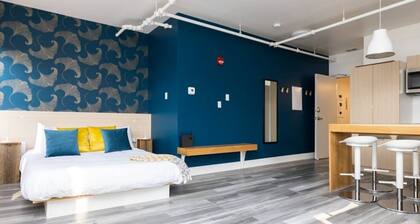 Sparkling Clean, Beautiful, Comfy and Cool in Highlands