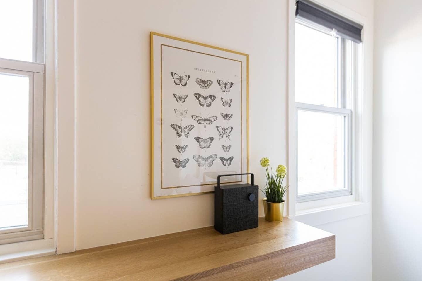 A framed butterfly illustration on a wall, a small black bag, and a potted plant on a wooden ledge.