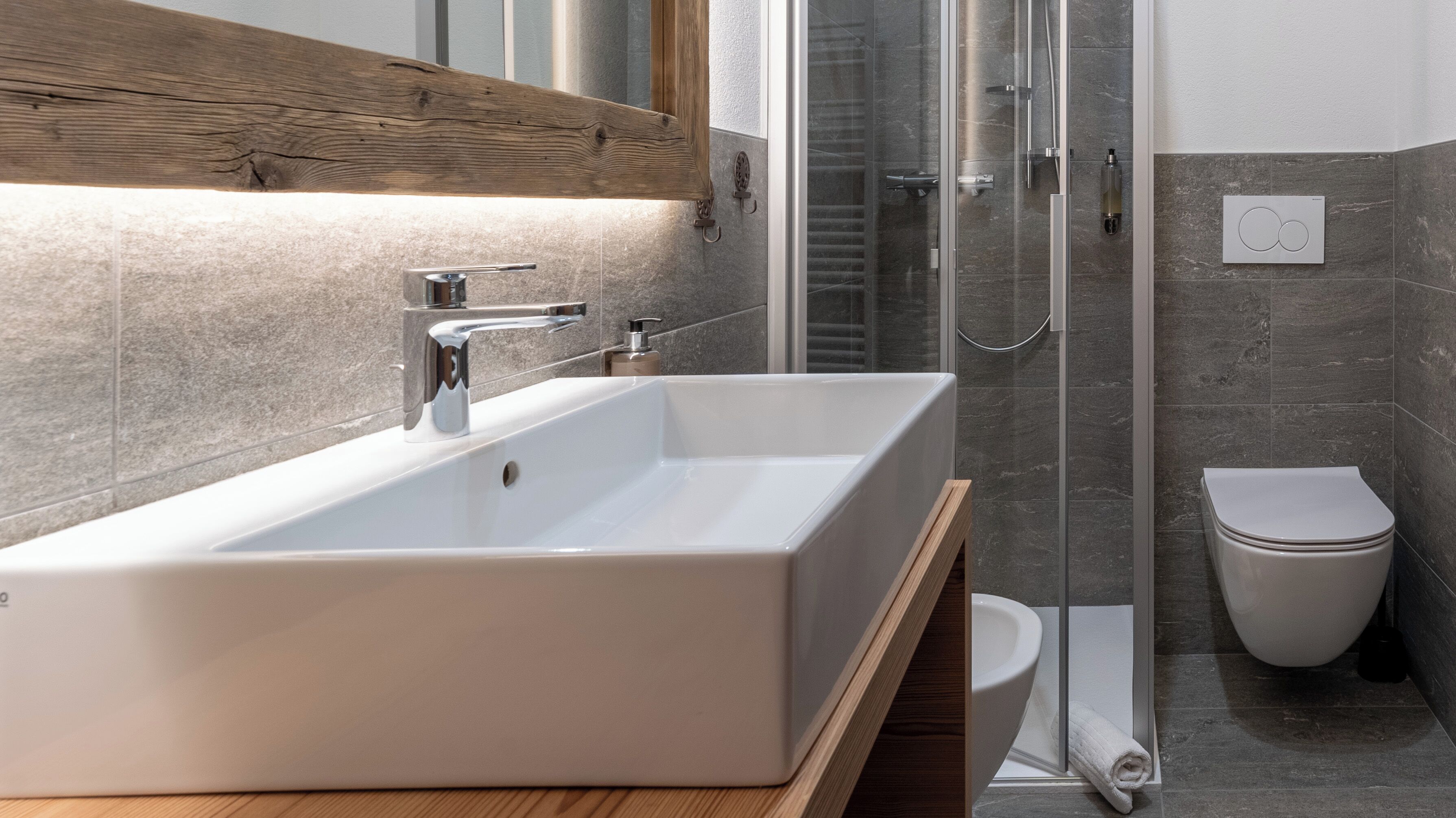 Shower, hair dryer, bidet, towels