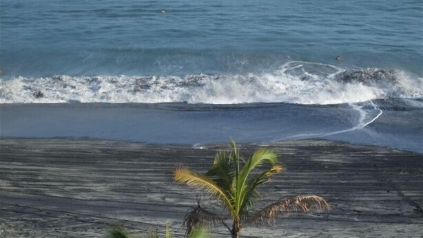A beach with waves, a palm tree, and a rocky shoreline. - Luxury Beachfront Condo with Amazing Ocean Views (Gorgona)