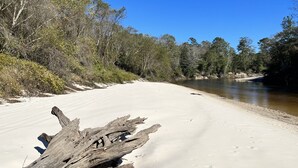 A sandy beach with driftwood and a river.