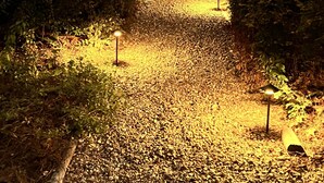 A pathway lined with evenly spaced lights leading to a thatched-roof building surrounded by dense foliage.