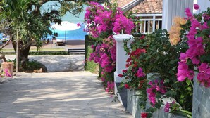A pathway leading to a building with vibrant bougainvillea flowers. - SV Boutique Resort (Vung Tau)