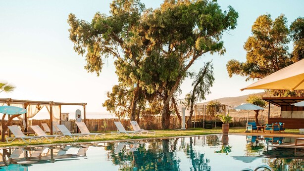 A clear swimming pool with lounge chairs and umbrellas, surrounded by trees and a wooden deck. - Radisson Blu Resort, Taghazout Bay Surf Village (Taghazout)