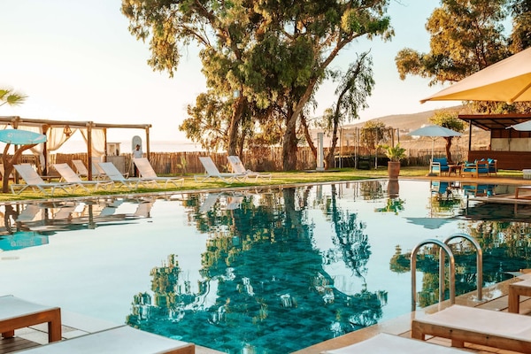 Outdoor pool, open 7:00 AM to 8:00 PM, sun loungers