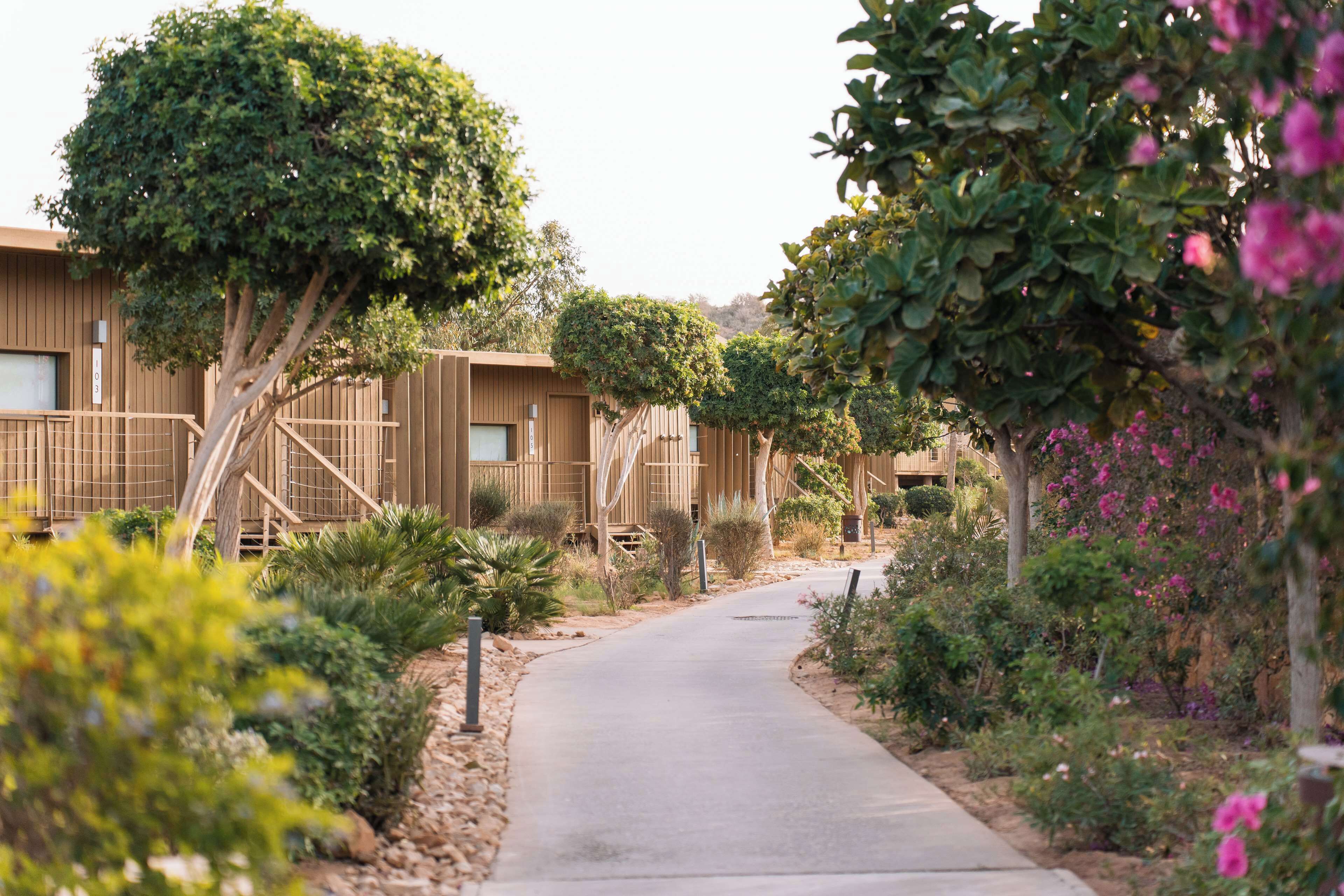 A pathway leading to a row of wooden cabins with a garden in the foreground.