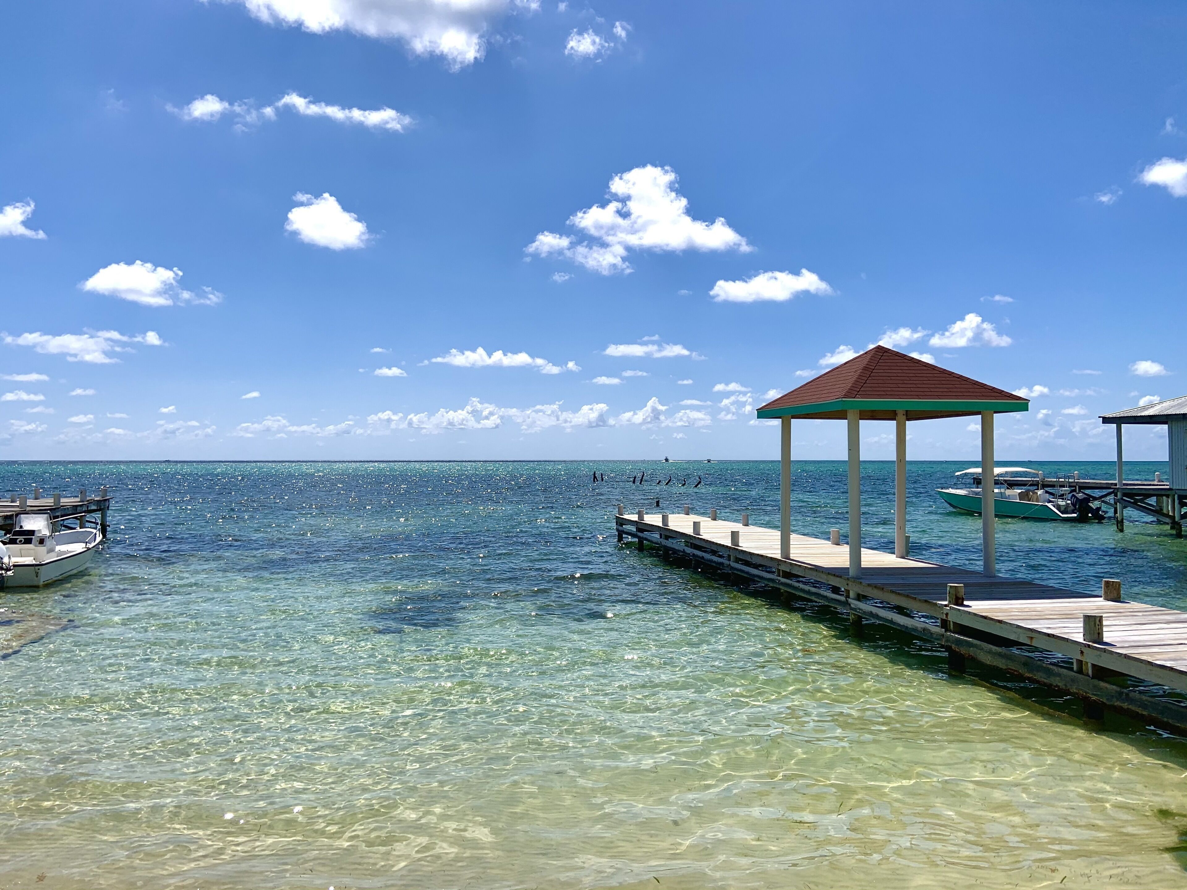 A clear blue sky, a wooden dock extending into the water, and a small gazebo structure.