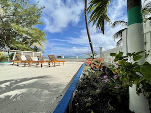 A beachside lounge with wooden chairs and a table, surrounded by tropical plants and a view of the ocean. - Belizean Reef Suites (San Pedro)