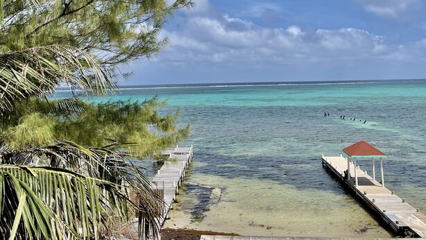 A clear view of a beach with turquoise water, a wooden pier, and a gazebo. - Belizean Reef Suites (San Pedro)
