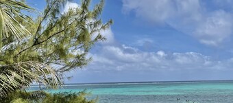 Belizean Reef Suites