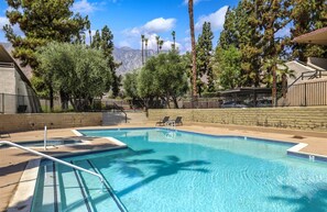 Pool - Los Felices 200 (Palm Springs)