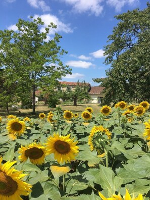 Enceinte de l’hébergement