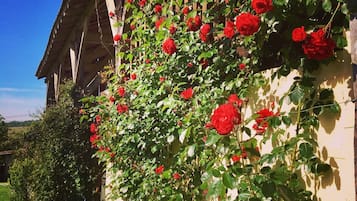 DĂ©tail de lâextĂ©rieur