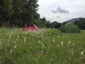 Property grounds - A Home in the Woods (Ragihalli State Forest)