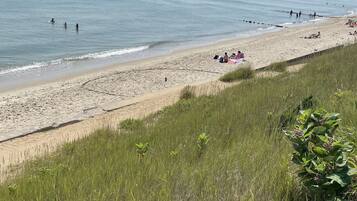 Plage à proximité, chaises longues, serviettes de plage