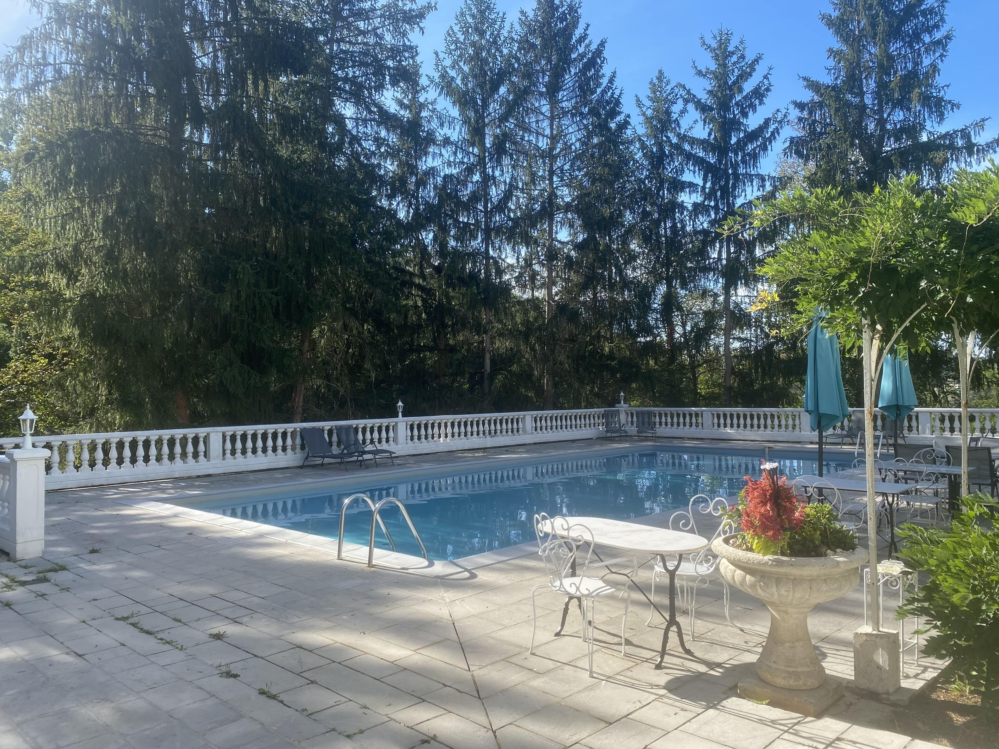 Une piscine dotée d’une terrasse blanche, entourée d’arbres et d’une clôture blanche.
