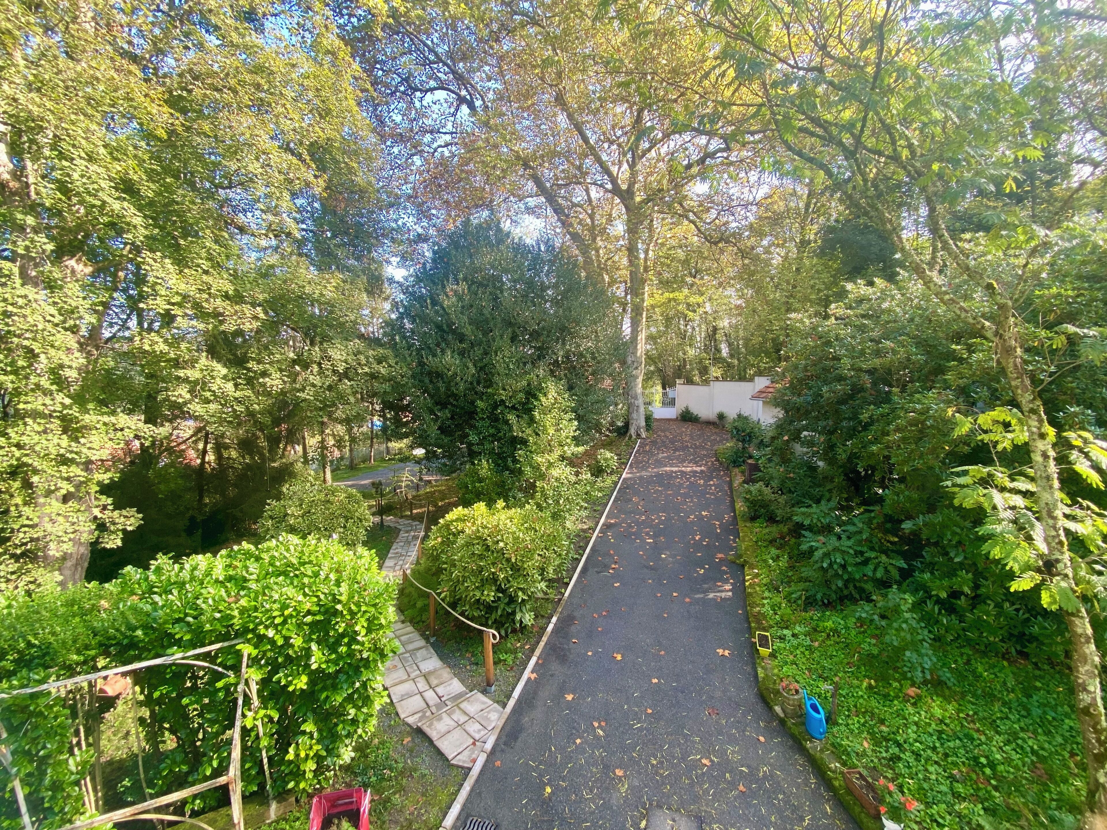 A pathway through a lush garden with trees and shrubs, leading to a white building.