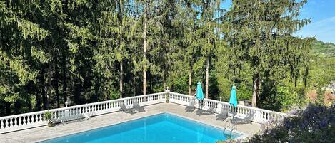 Una piscina rectangular con barandilla blanca, rodeada de abundante vegetación y árboles altos.