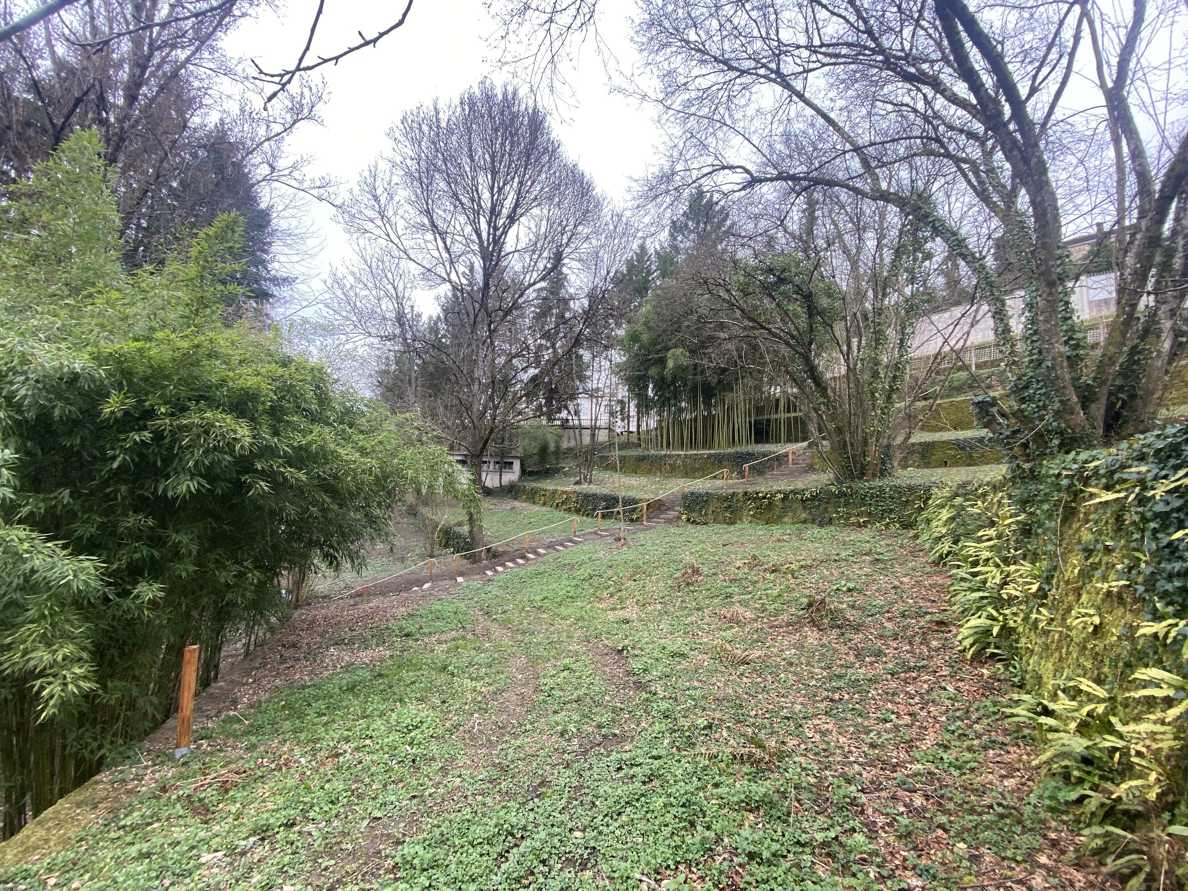 A garden with a variety of trees, a grassy area, and a stone pathway leading to a building.