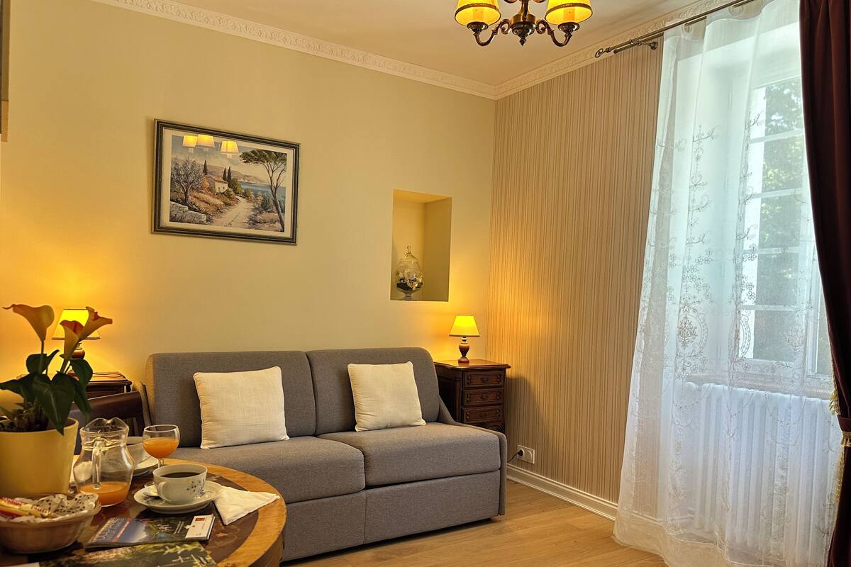 A cozy living room with a grey sofa, a coffee table with a magazine, a pitcher of orange juice, and a potted plant.