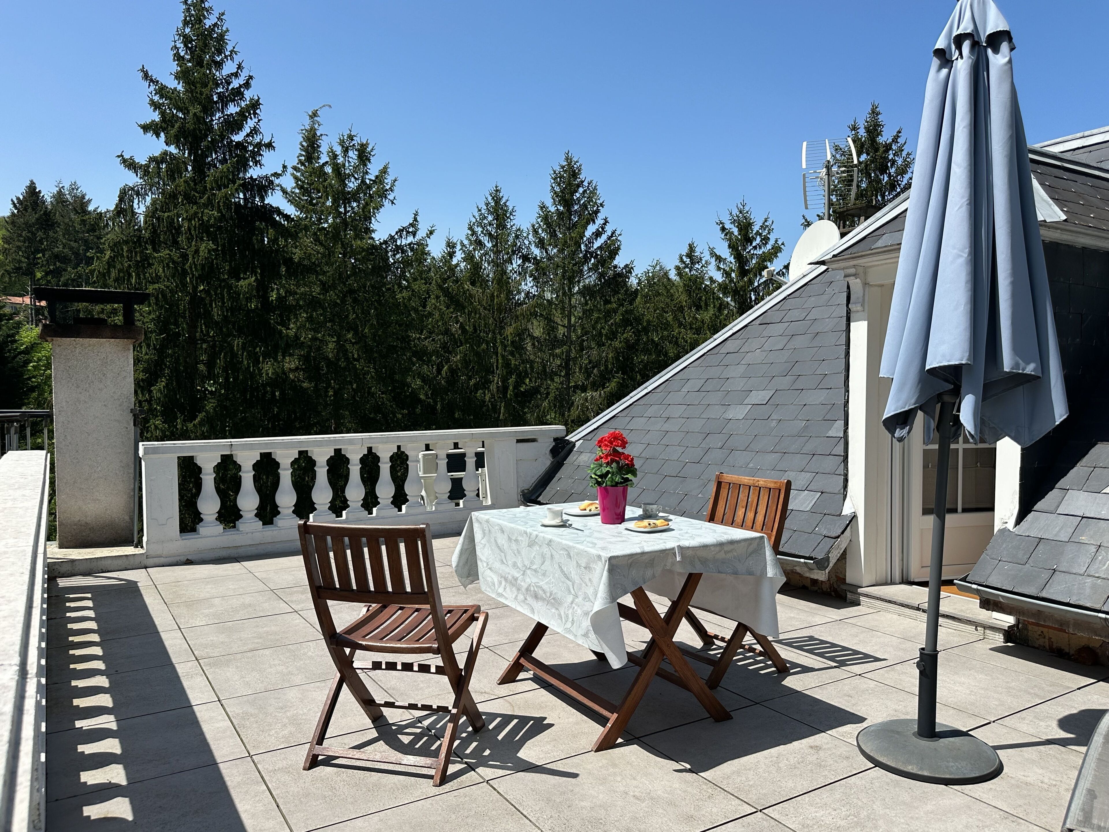 Suite superior, baño privado, vista al parque | Terraza o patio