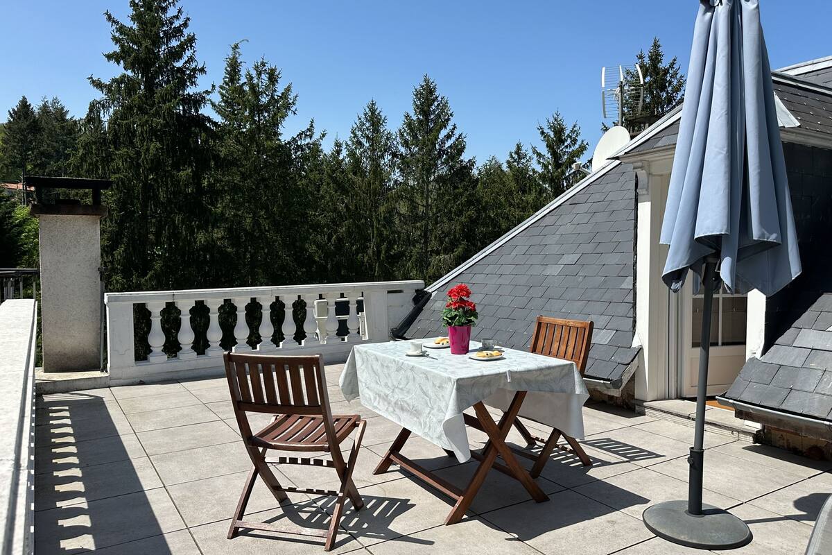 Superior Suite, Private Bathroom, Park View | Terrace/patio