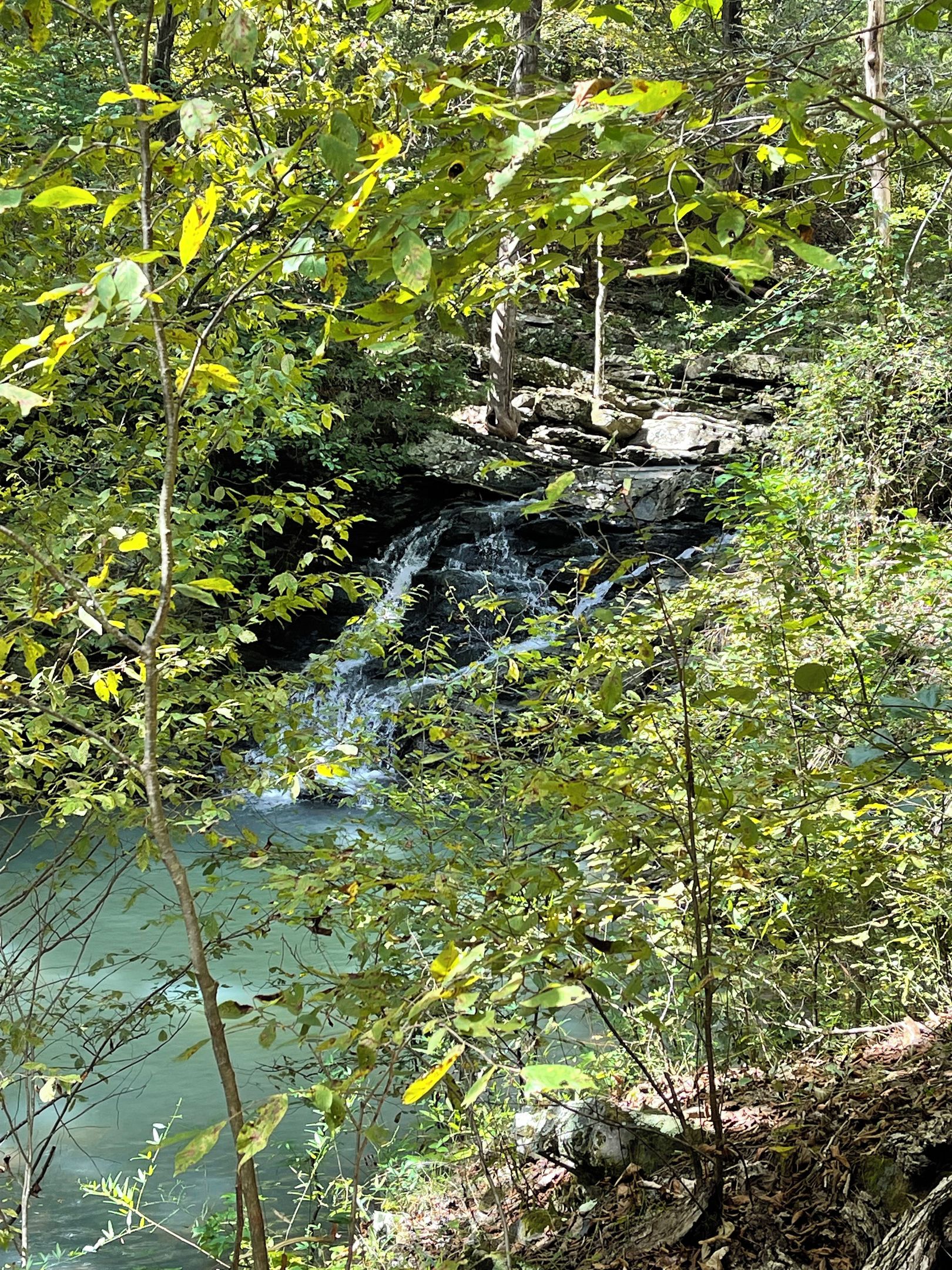 Een natuurlandschap met een waterval, weelderige begroeiing en een rustig waterlichaam.