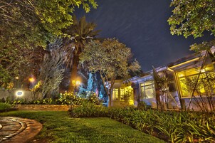 A well-lit garden area with a palm tree, a pathway, and a building with illuminated windows.