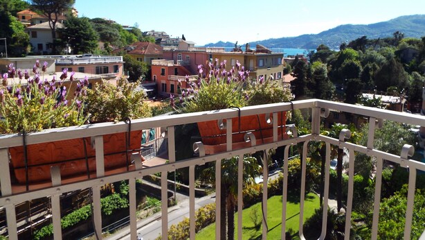 A balcony with a view of a residential area, including houses and greenery. - Canali (Rapallo)