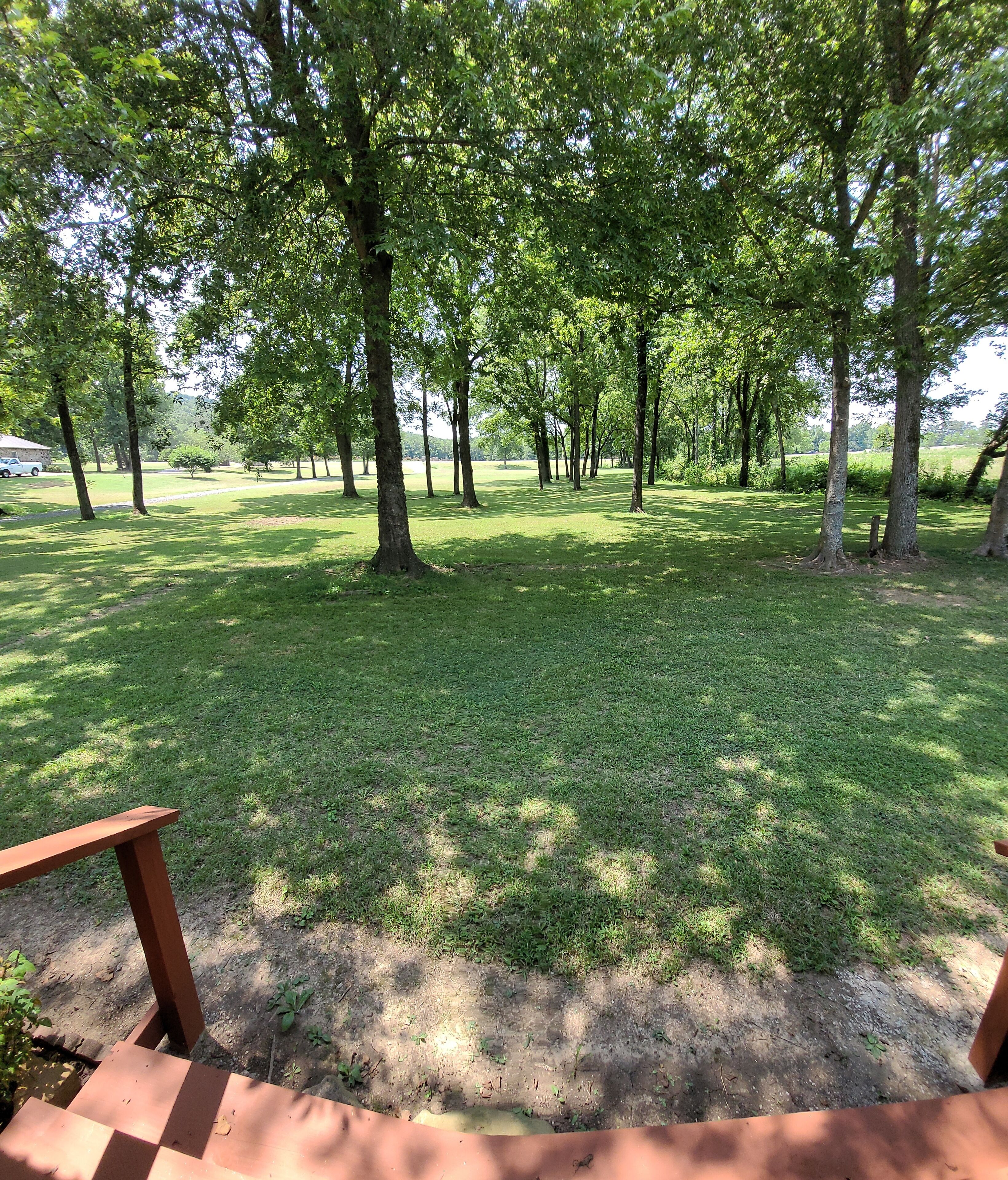 A grassy park area with trees and a wooden bench.