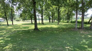 A grassy park area with trees and a wooden bench.