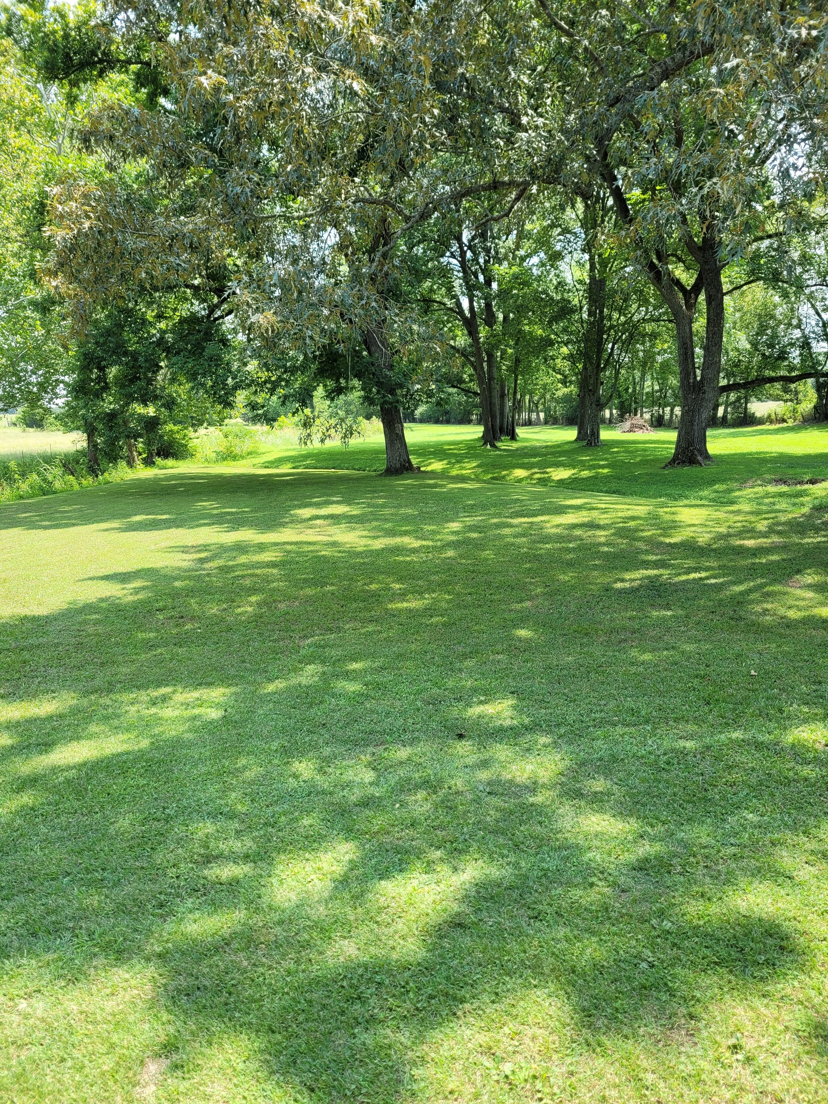 A grassy park area with several trees and a clear sky.