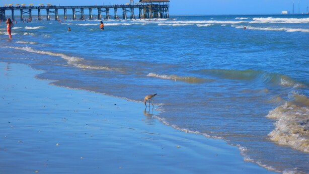 A beach with a pier and a thatched-roof structure. - SUBTROPICAL OASIS CONDO, HEATED POOL, STEPS TO THE OCEAN ACCESS, GREAT LOCATION (Cocoa Beach)